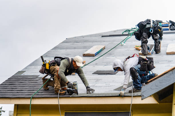 Professional Gutter Installation technician working in Port Byron, IL